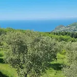 Uliveto Garden Oda ve Kahvaltı Bagnara Calabra