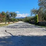 Uliveto Garden