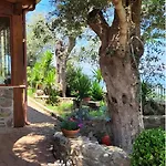 Uliveto Garden