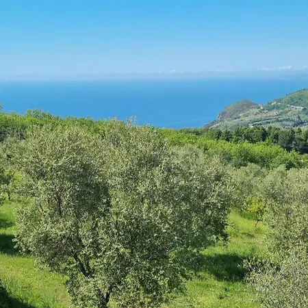 Uliveto Garden Frühstückspension Bagnara Calabra