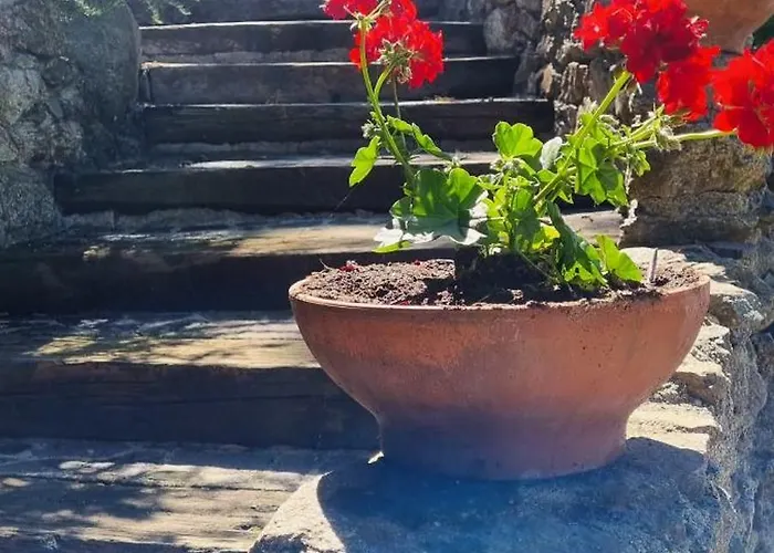 Bed and Breakfast Uliveto Garden *