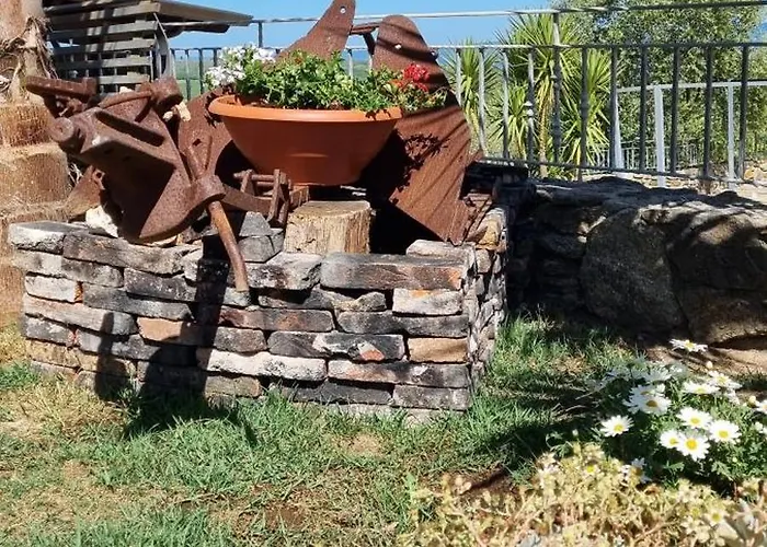 לינה וארוחת בוקר Uliveto Garden