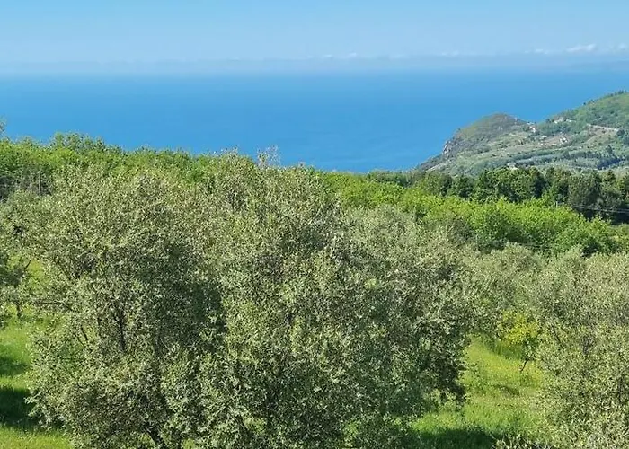 Uliveto Garden לינה וארוחת בוקר באניירה קלאברה