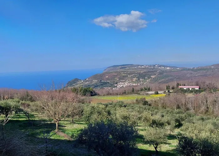 Uliveto Garden * Bagnara Calabra