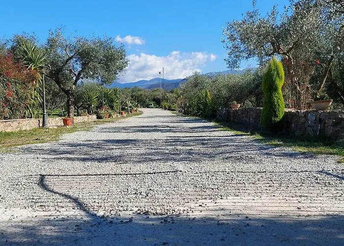 Uliveto Garden