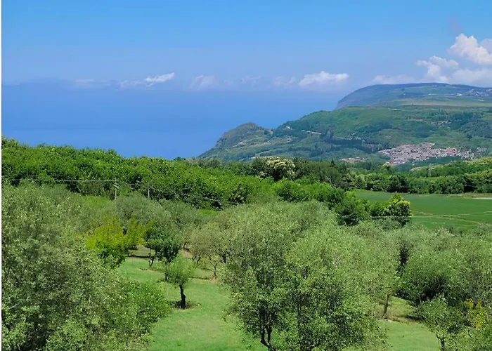 Uliveto Garden Bed and Breakfast *