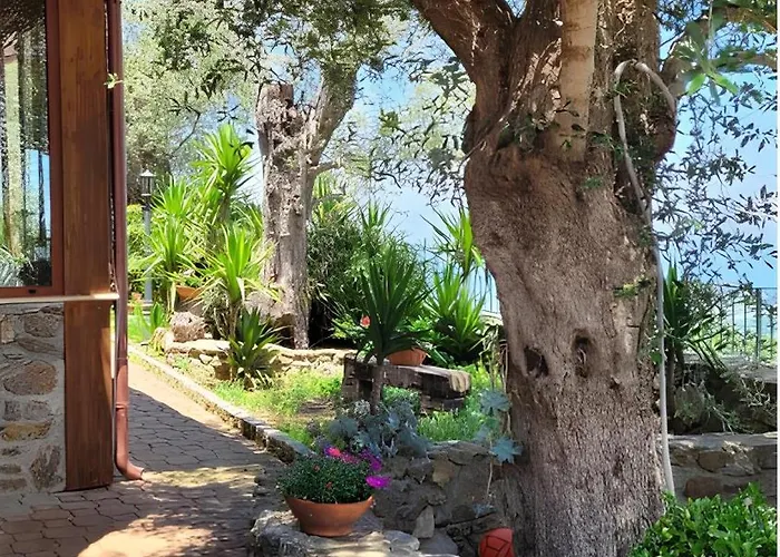 Uliveto Garden